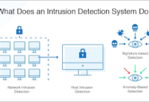 Network Intrusion Detection Software- How Do They Work?